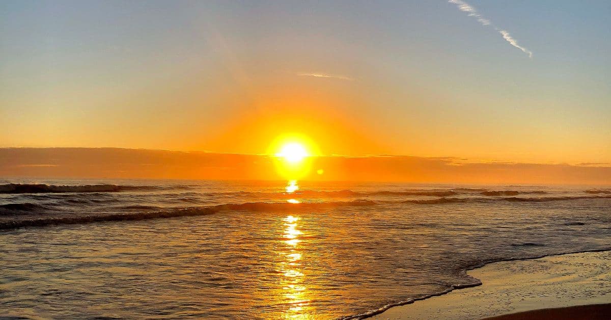 Can You Really Afford to Move to Southwest Florida? The Costs, Taxes, and Hidden Fees You Need to Know