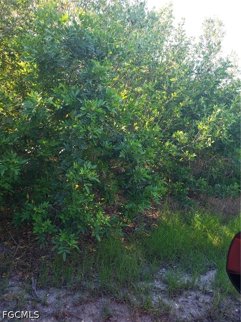 Acreage for Sale in Pine Island, photo 2
