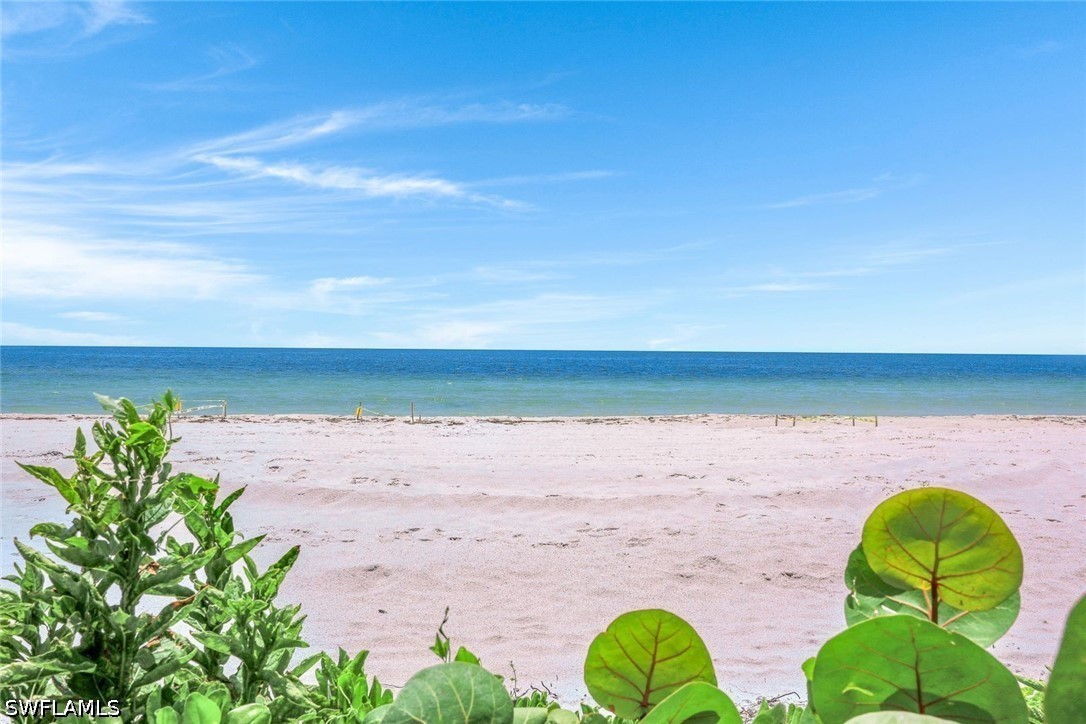 3 Bed Waterfront Home for Sale in Savoy, photo 2