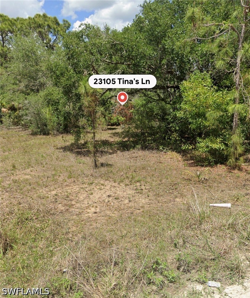 Residential for Sale in Wildcat Farms, photo 2