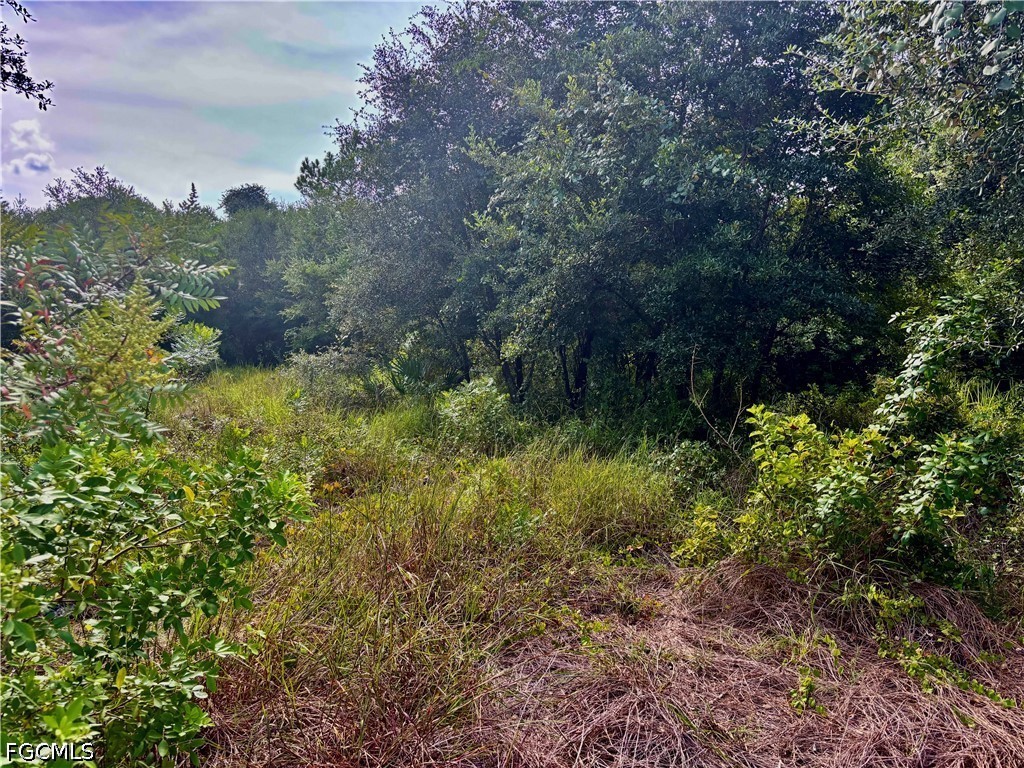 Residential for Sale in Lehigh Acres, photo 2