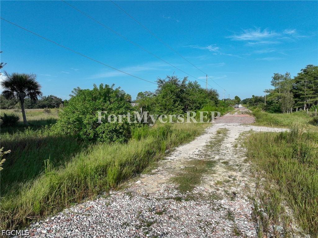 Acreage for Sale in Wildcat Farms, photo 12