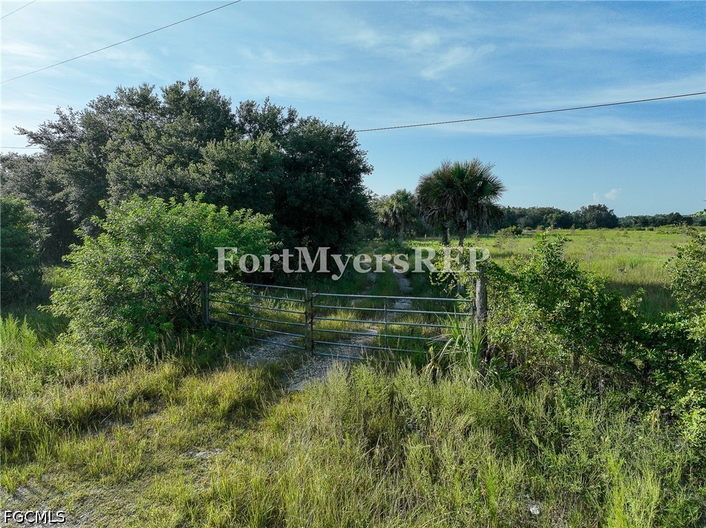 Acreage for Sale in Wildcat Farms, photo 13