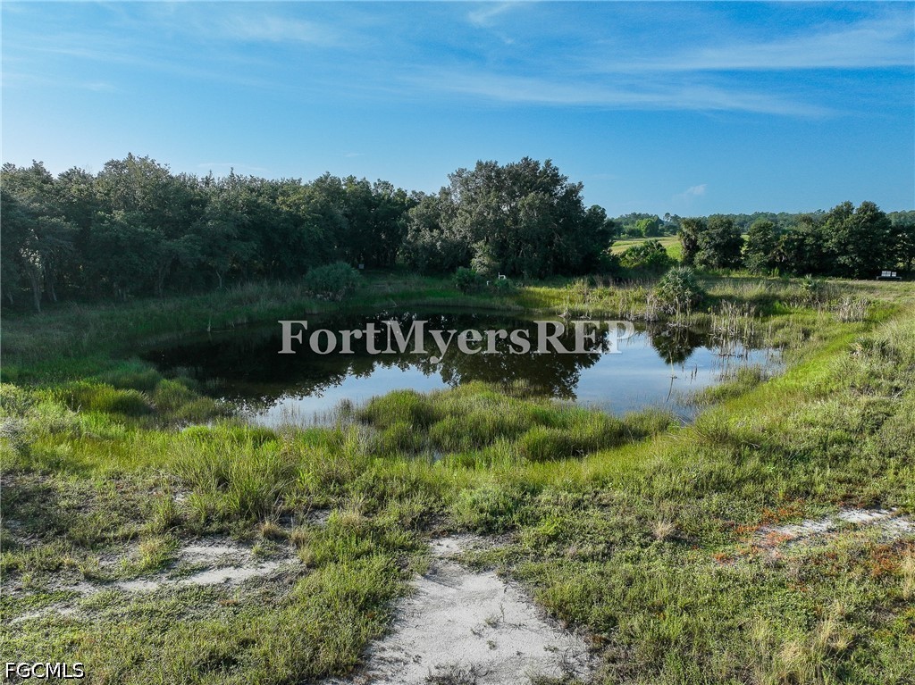 Acreage for Sale in Wildcat Farms, photo 14