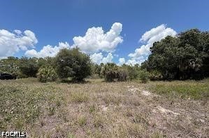 Residential for Sale in Pioneer Plantation, photo 16