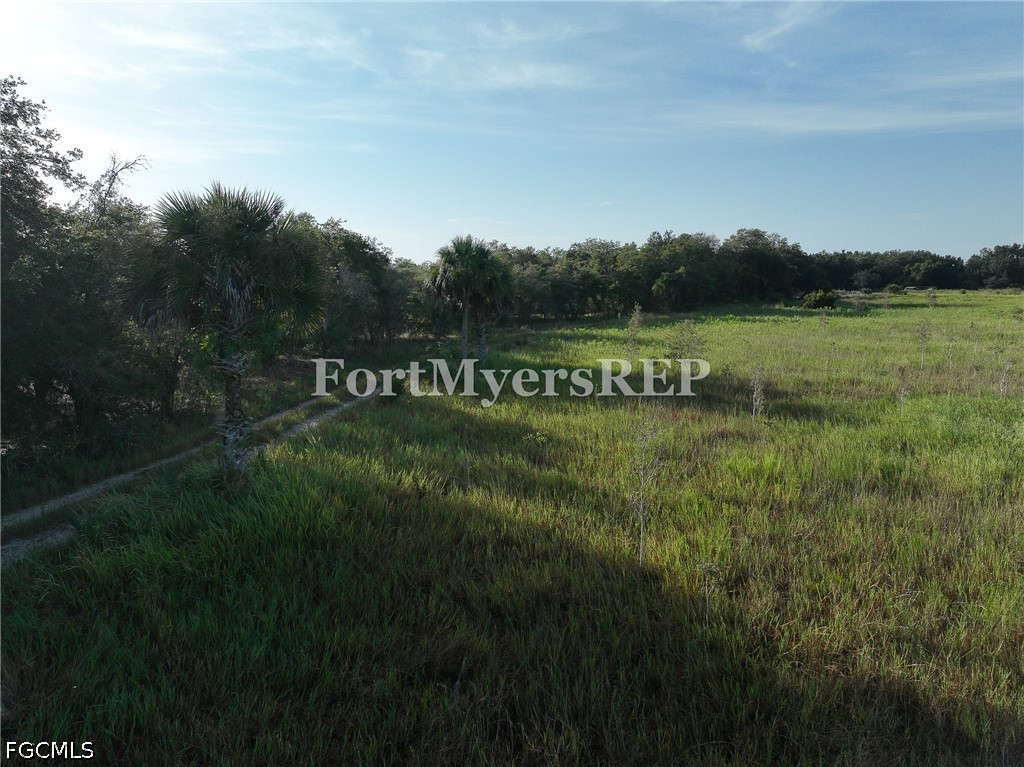 Acreage for Sale in Wildcat Farms, photo 16