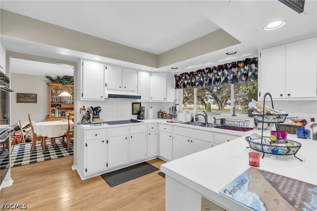 3 Bed SingleFamilyResidence for Sale in Labelle, photo 18