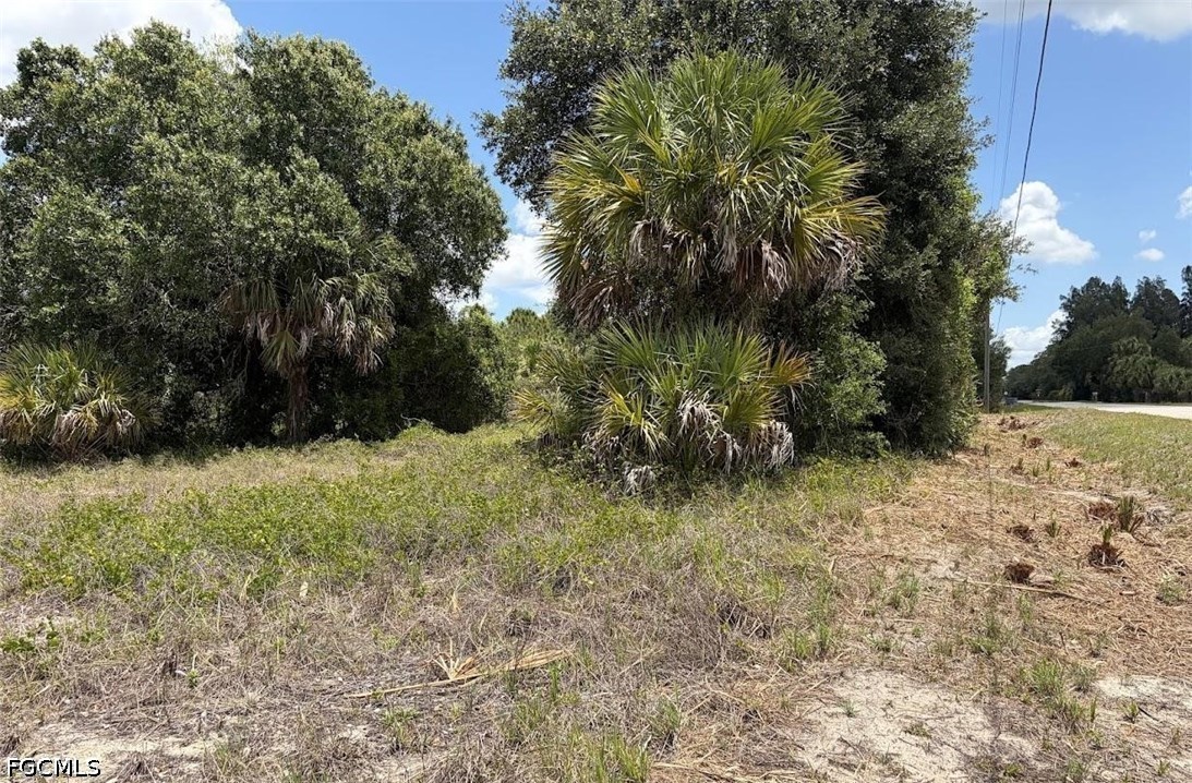 Residential for Sale in Pioneer Plantation, photo 18