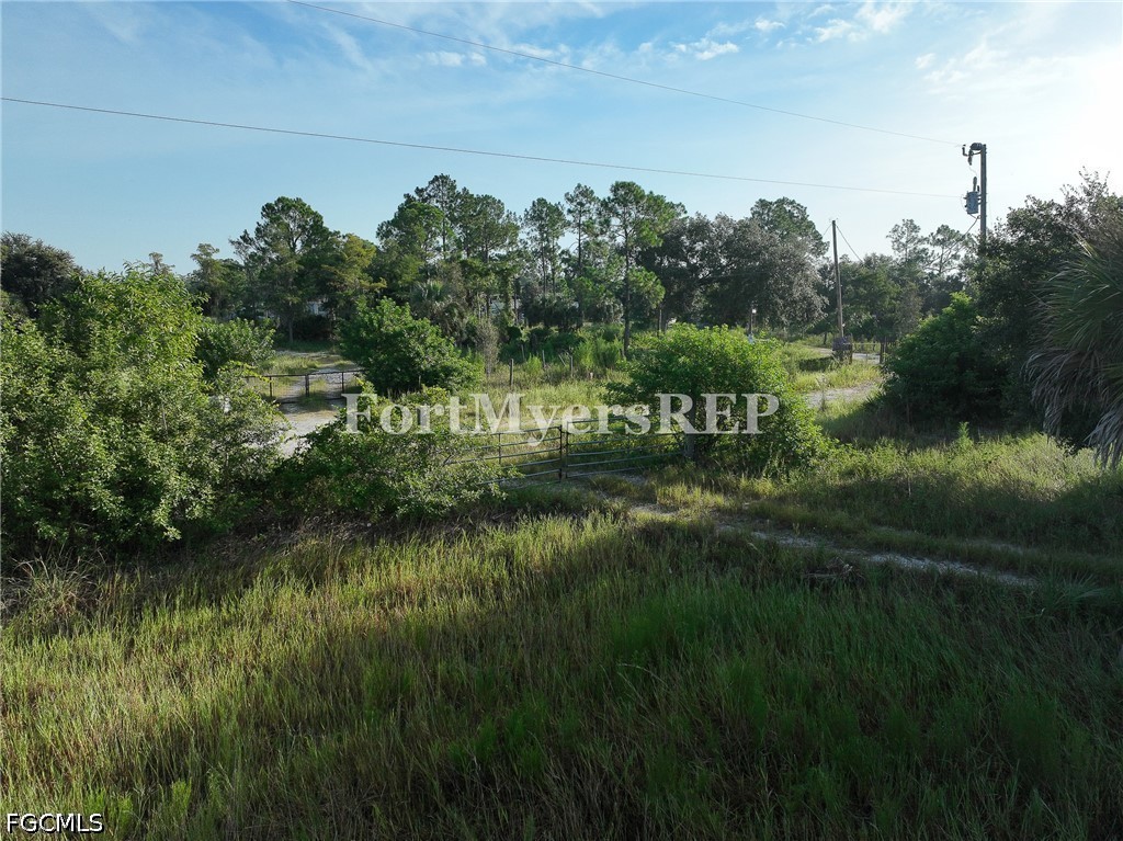 Acreage for Sale in Wildcat Farms, photo 18