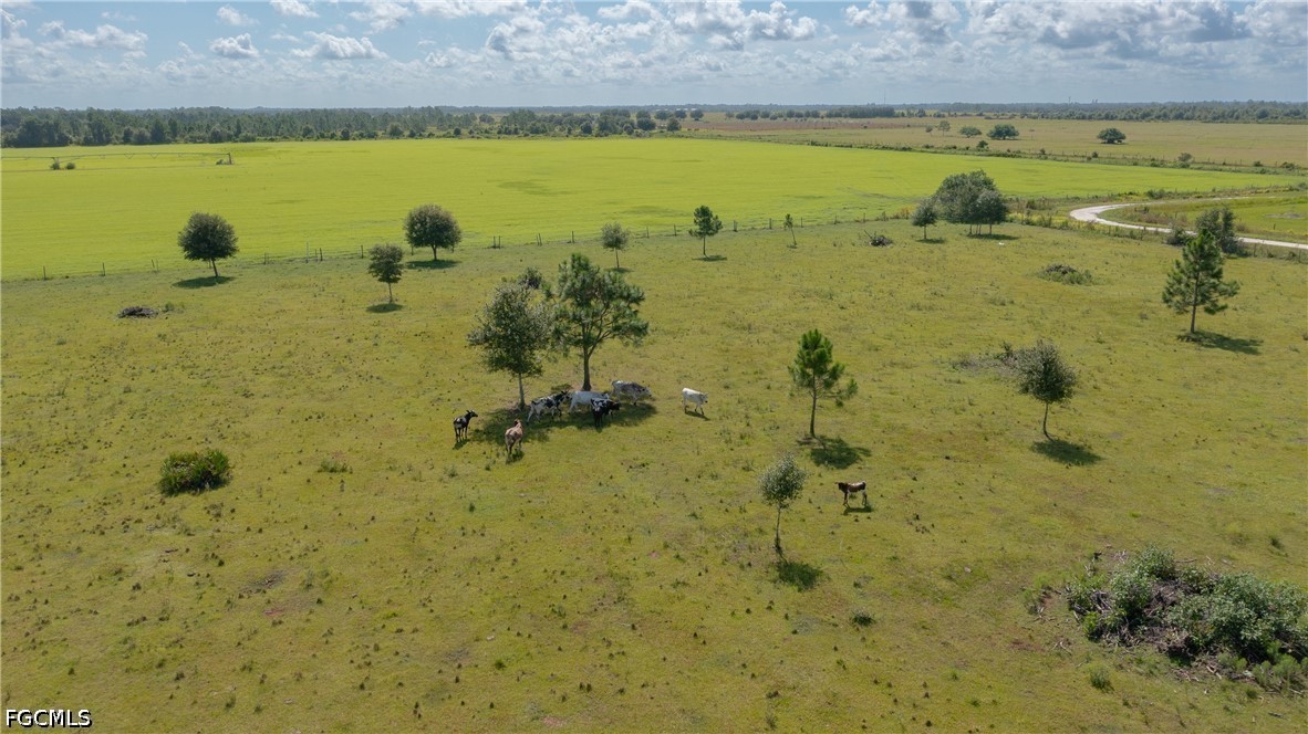 Acreage for Sale in Muse, photo 3