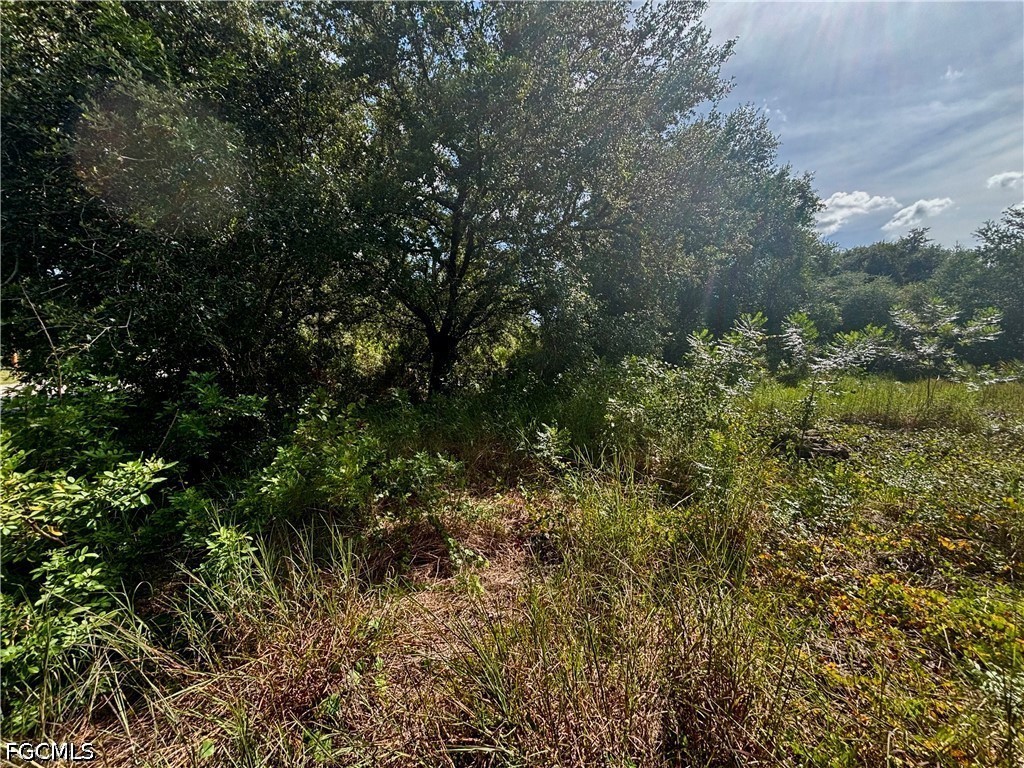 Residential for Sale in Lehigh Acres, photo 3