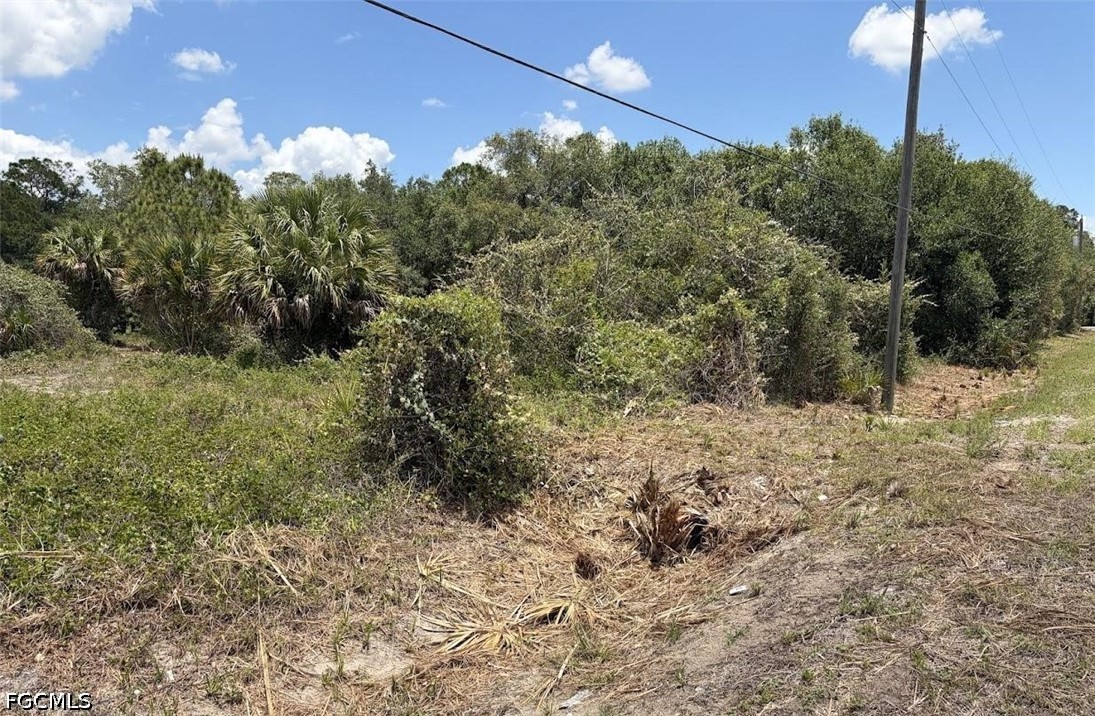 Residential for Sale in Pioneer Plantation, photo 21