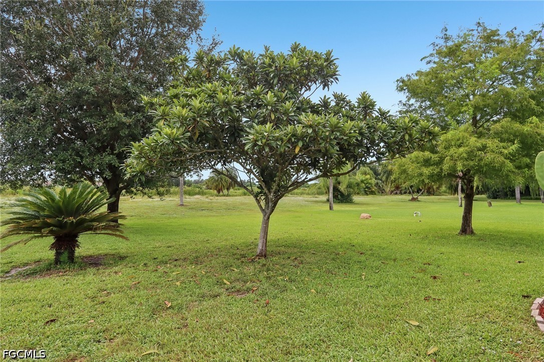 2 Bed Attached for Sale in Majestic, photo 25