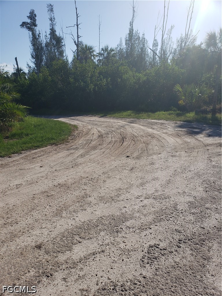 Acreage for Sale in Pine Island, photo 4
