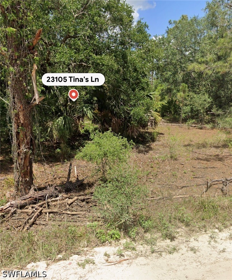 Residential for Sale in Wildcat Farms, photo 4