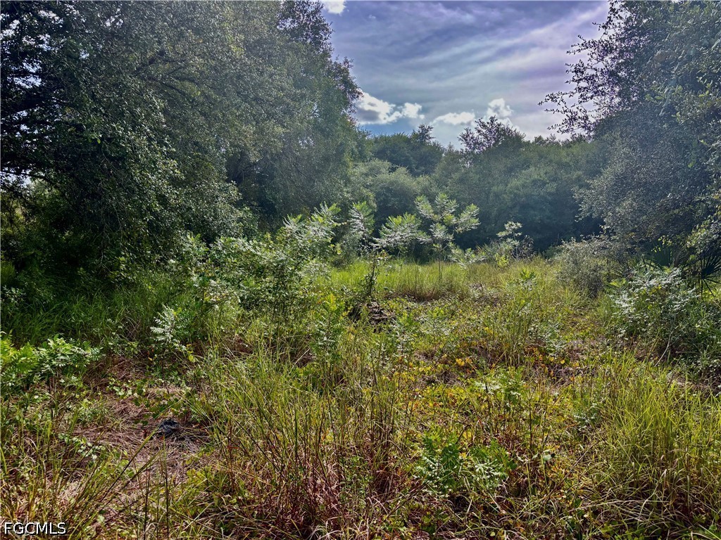 Residential for Sale in Lehigh Acres, photo 4