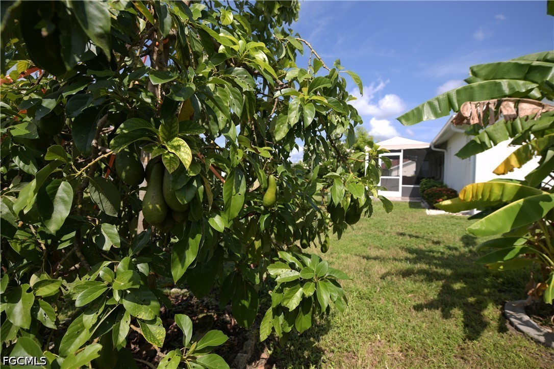 2 Bed SingleFamilyResidence for Sale in North Fort Myers, photo 34