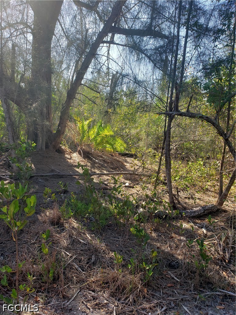 Acreage for Sale in Pine Island, photo 5