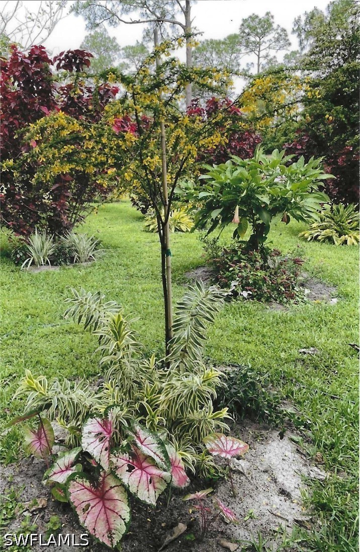 3 Bed Waterfront Home for Sale in Naples, photo 5