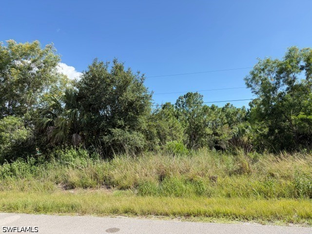 Residential for Sale in Golden Gate Estates, photo 5