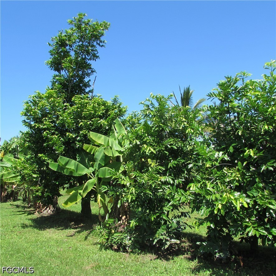 3 Bed SingleFamilyResidence for Sale in Acreage, photo 44
