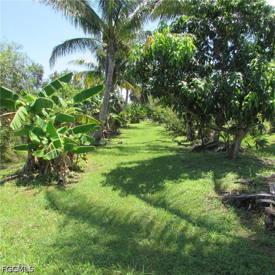 3 Bed SingleFamilyResidence for Sale in Acreage, photo 45