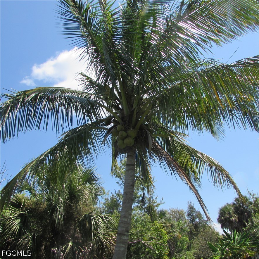 3 Bed SingleFamilyResidence for Sale in Acreage, photo 47