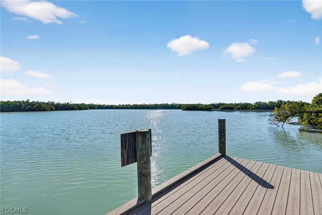 3 Bed Pool Home for Sale in Metes And Bounds, photo 6