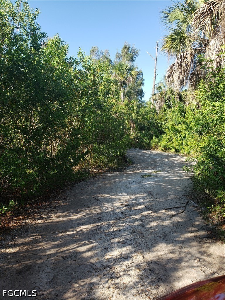 Acreage for Sale in Pine Island, photo 6