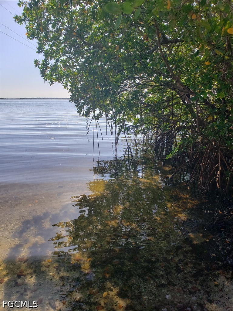 Acreage for Sale in Pine Island, photo 6
