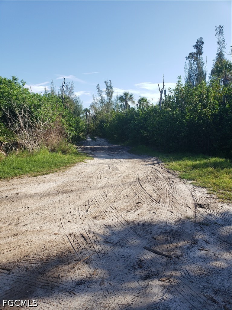 Acreage for Sale in Pine Island, photo 7