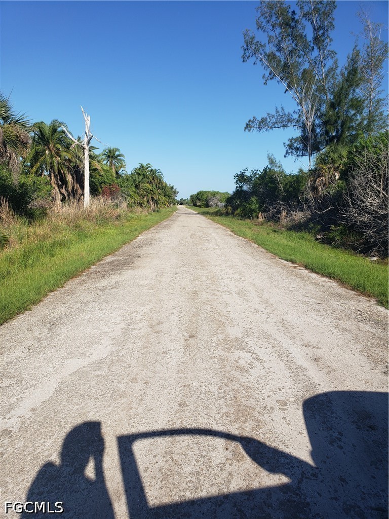 Acreage for Sale in Pine Island, photo 7
