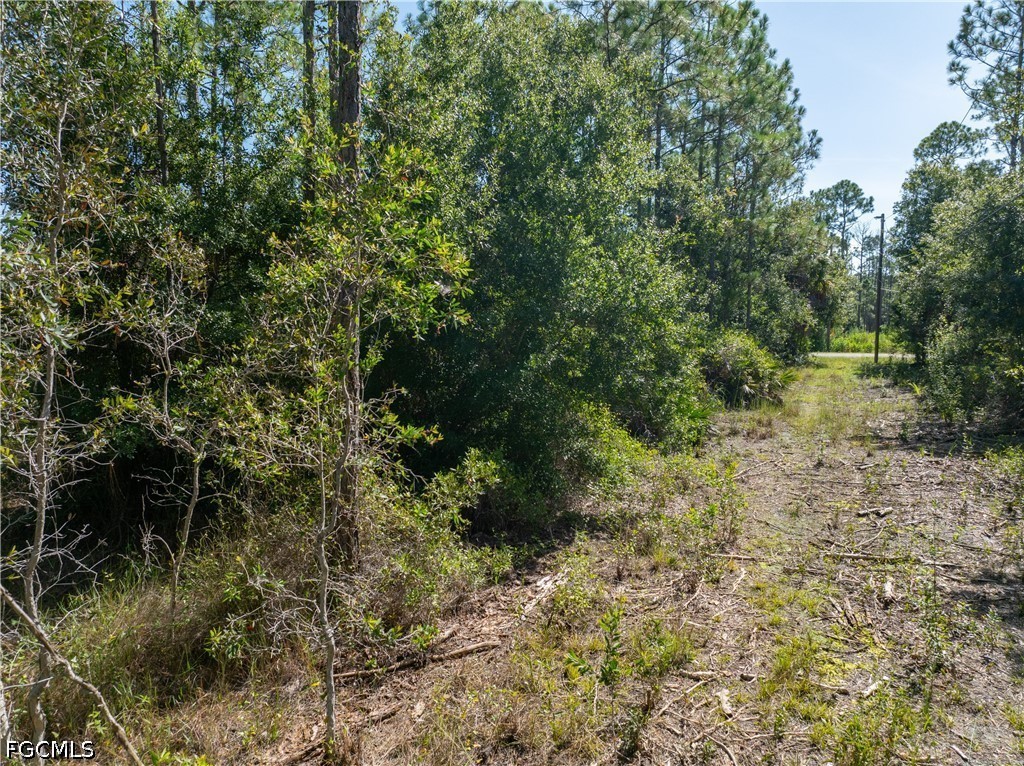 Residential for Sale in Tropical Gulf Acres, photo 7