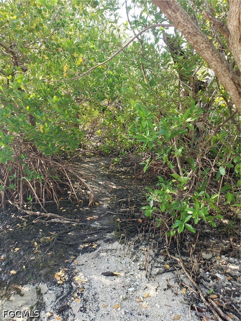 Acreage for Sale in Pine Island, photo 8