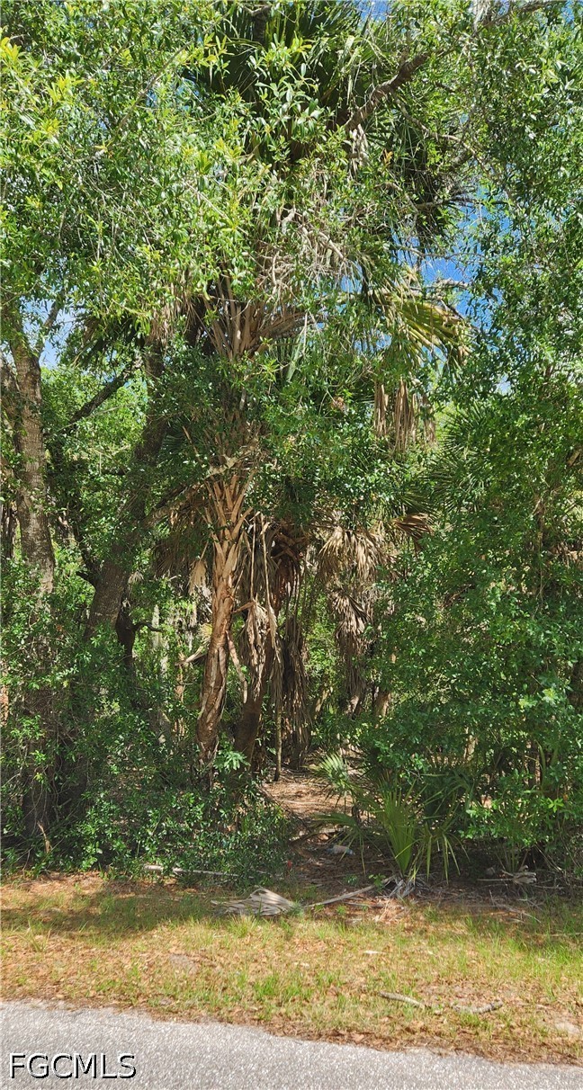 Residential for Sale in Port Charlotte, FL, $16,000 — photo 2