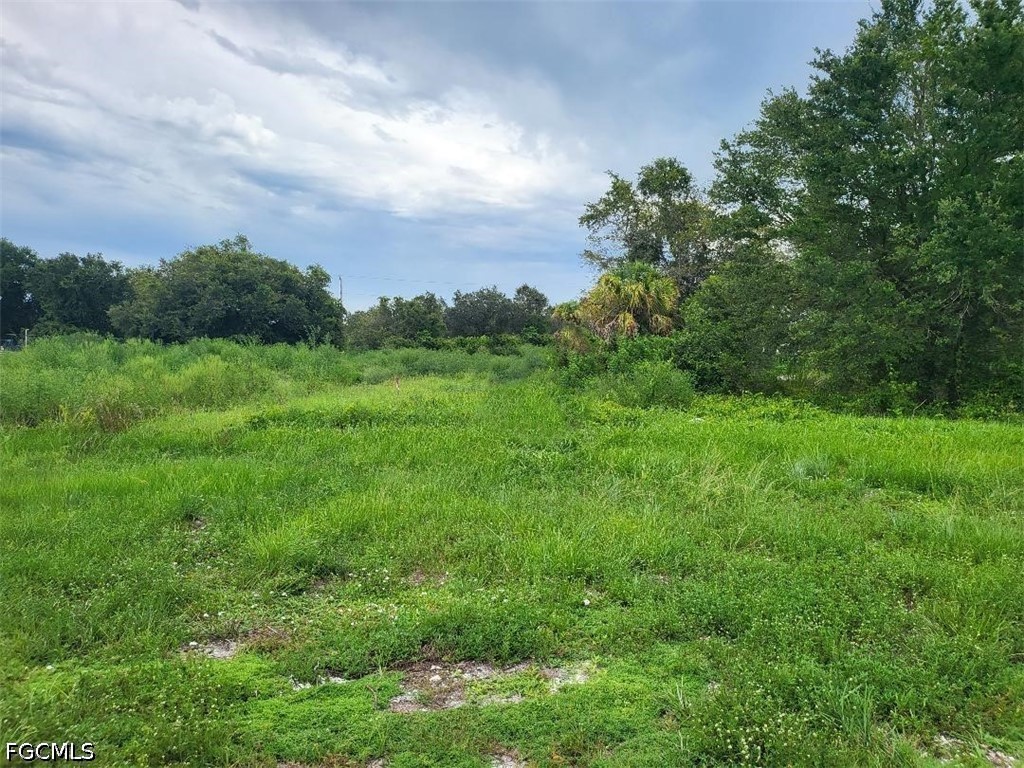 Acreage for Sale in Southwood, FL, $29,999 — photo 2