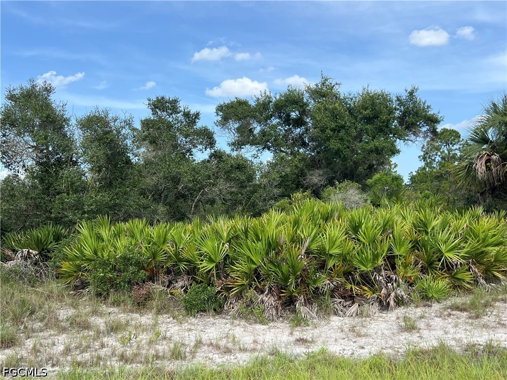 Acreage for Sale in Lehigh Acres, photo 2