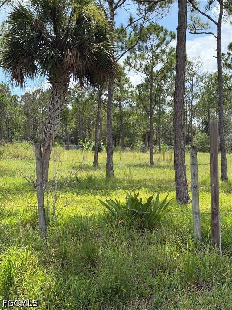 Residential for Sale in Montura Ranch Estates, FL, $65,000 — photo 2