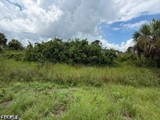 Residential for Sale in Lehigh Acres, FL, $29,500 — photo 2