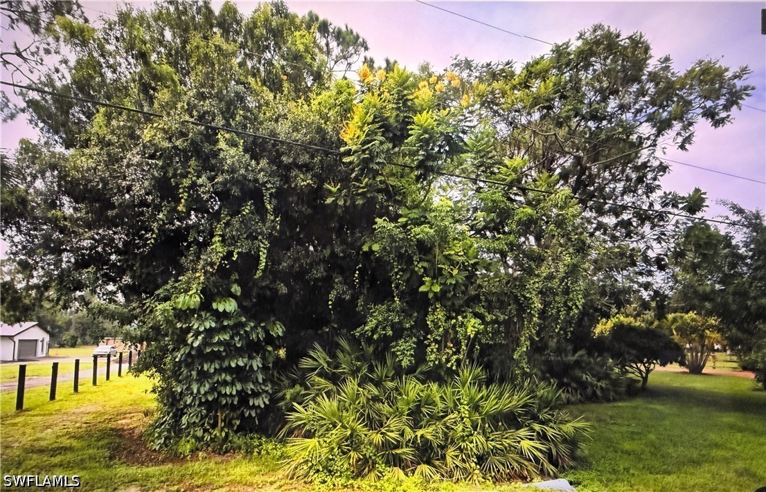 Acreage for Sale in Golden Gate Estates, FL, $170,000 — photo 2