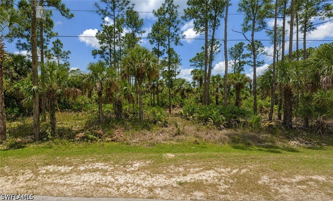 Residential for Sale in Golden Gate Estates, FL, $134,900 — photo 2