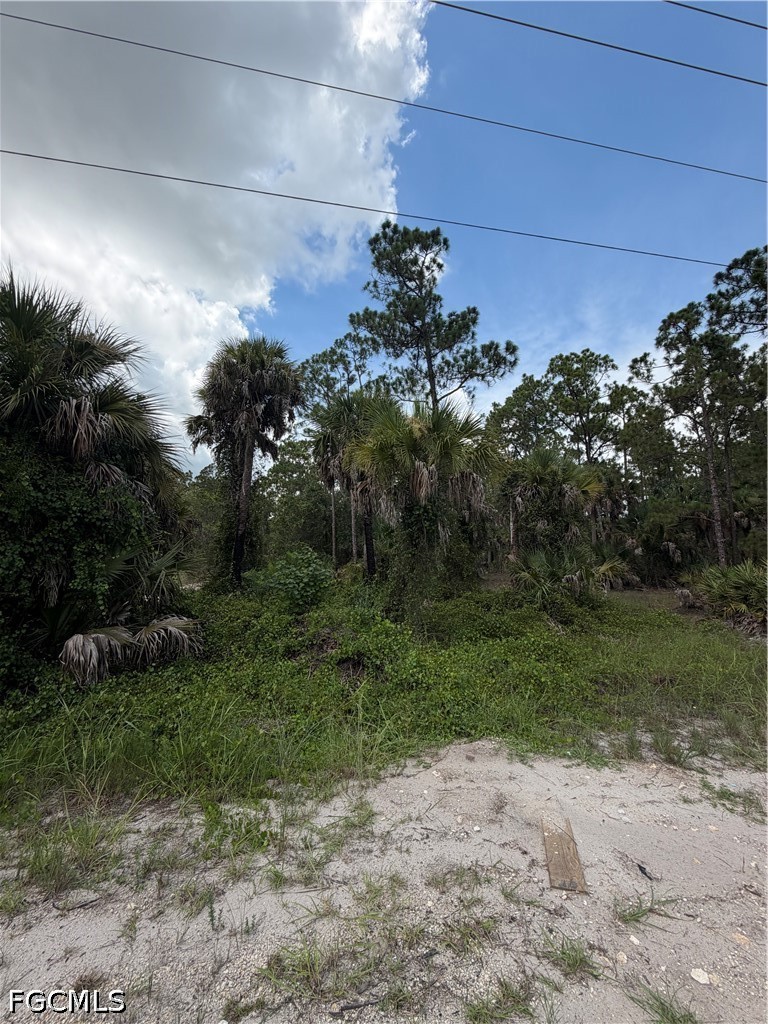 Residential for Sale in Lehigh Acres, FL, $32,000 — photo 2