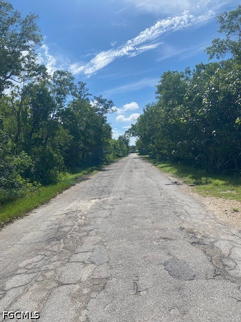 Waterfront Home for Sale in Acreage Header, FL, $35,000 — photo 2