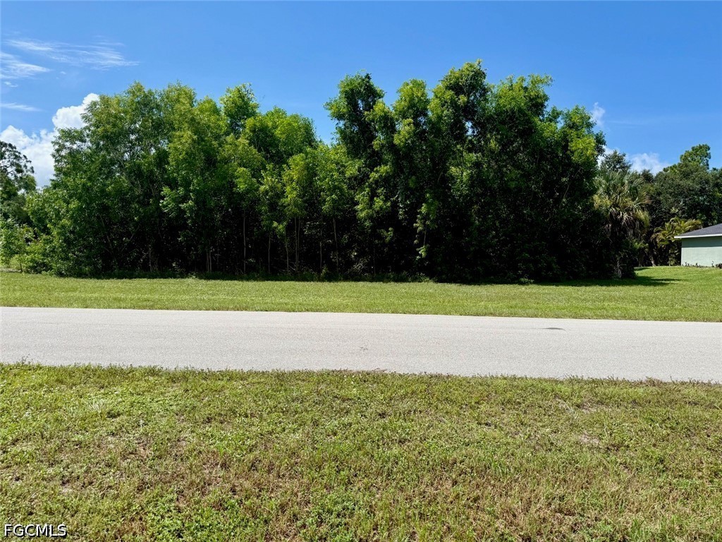 Residential for Sale in Cape Coral, FL, $29,000 — photo 2