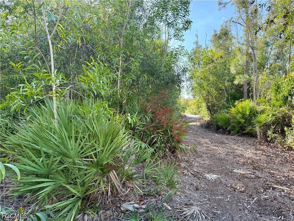 Residential for Sale in Sundiet Village, FL, $15,000 — photo 2