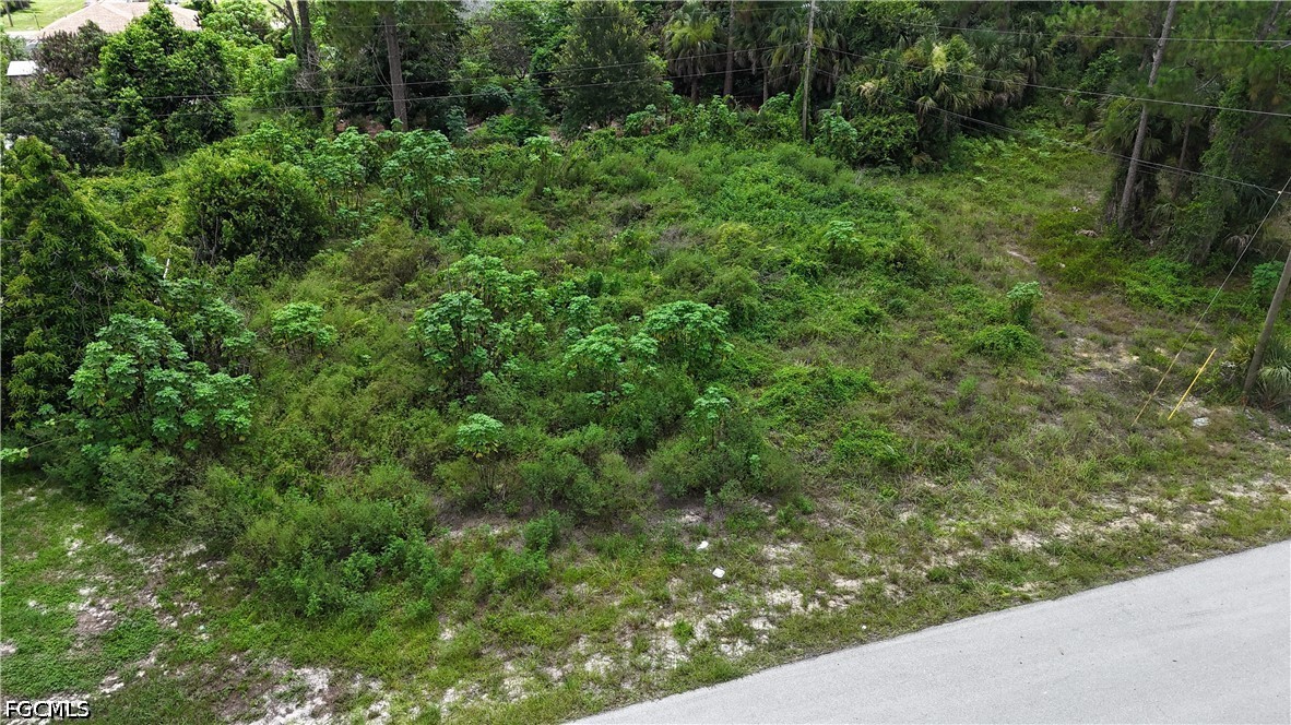 Residential for Sale in Lehigh Acres, FL, $19,999 — photo 2