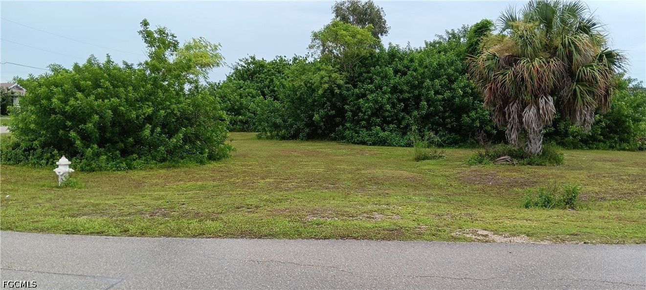 Residential for Sale in Mirror Lakes, FL, $57,500 — photo 2
