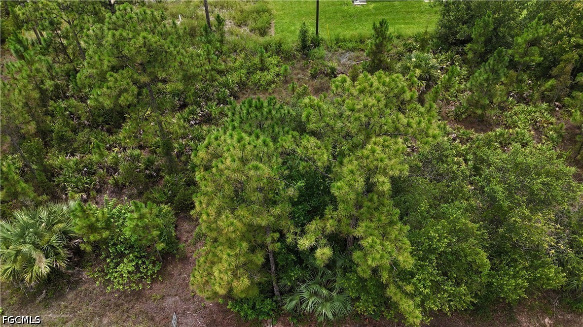 Residential for Sale in Lehigh Acres, FL, $18,000 — photo 2
