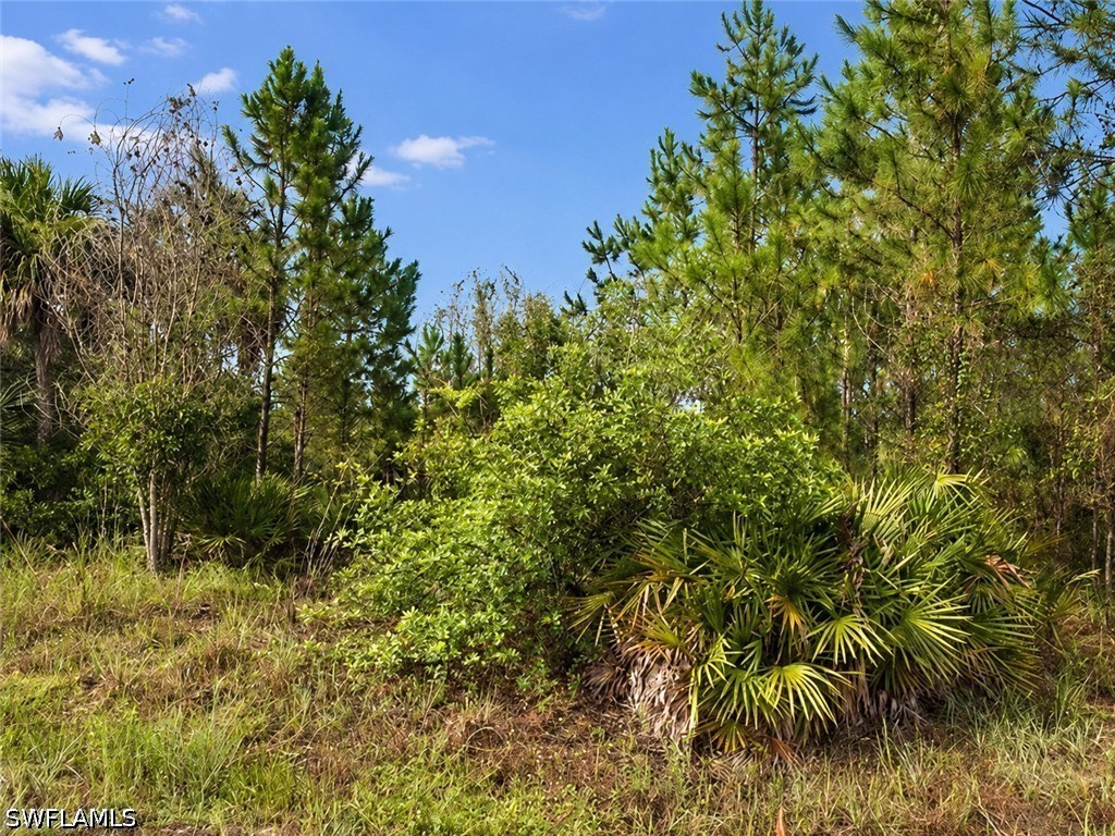 Residential for Sale in Lehigh Acres, FL, $59,000 — photo 2
