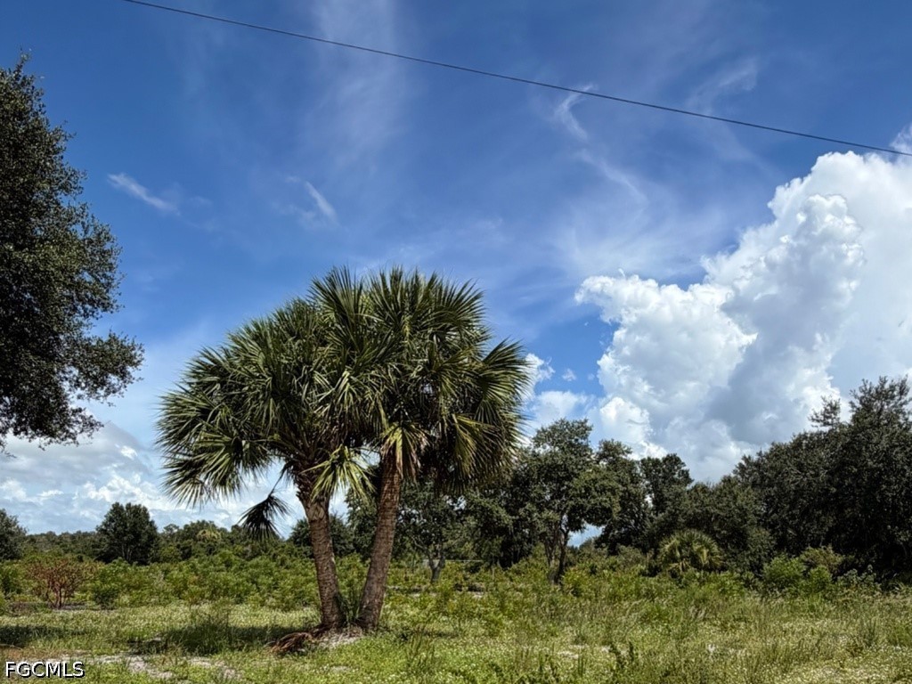 Residential for Sale in Montura Ranch Estates, photo 2